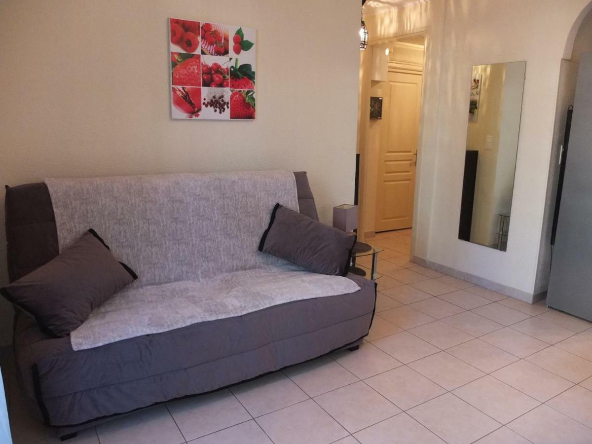 Appartement Le Cernuschi Rdc 芒通 外观 照片
