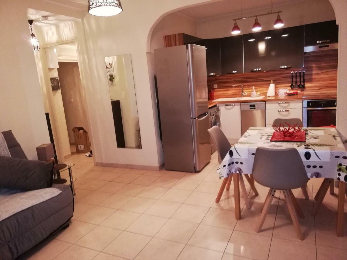 Appartement Le Cernuschi Rdc 芒通 外观 照片