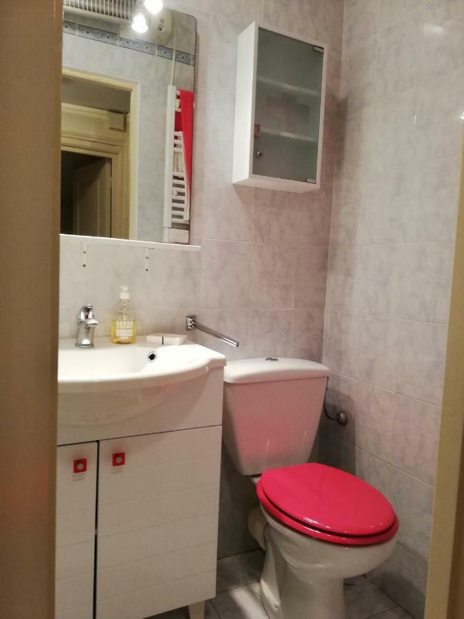 Appartement Le Cernuschi Rdc 芒通 外观 照片